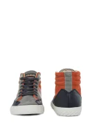 Rover Sneakers Napapijri gray