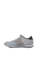 Phoenix Sneakers Tommy Hilfiger ash gray