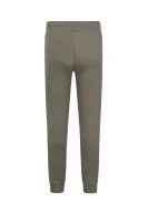 Spodnie dresowe | Regular Fit GUESS ACTIVE zielony