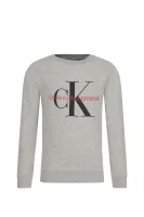 Sweatshirt | Regular Fit Calvin Klein Underwear gray