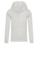 Sweatshirt ACTIVE | Regular Fit Guess gray