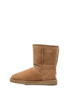 Classic Boots UGG brown