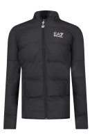 Куртка | Regular Fit EA7 чорний