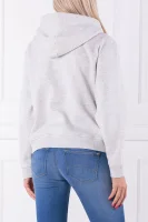Sweatshirt TJW MODERN LOGO HOOD | Regular Fit Tommy Jeans ash gray