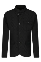 Jacket | Regular Fit Emporio Armani black