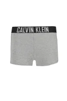 Shorts | Regular Fit Calvin Klein Swimwear gray