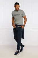 T-shirt Sallar | Regular Fit Napapijri gray