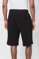 Shorts | Regular Fit Ice Play black