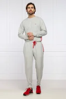 спортивні штани | regular fit Emporio Armani сірий