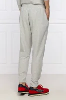 Spodnie dresowe | Regular Fit Emporio Armani szary