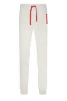 Spodnie dresowe | Regular Fit Emporio Armani szary