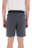 Shorts | Regular Fit Emporio Armani navy blue