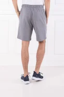 Shorts KNIT | Regular Fit Calvin Klein Performance gray