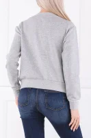 Sweatshirt | Regular Fit TWINSET ash gray