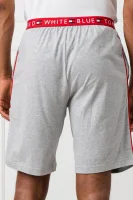 Shorts | Regular Fit Tommy Hilfiger ash gray