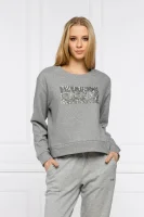 Sweatshirt | Regular Fit DKNY gray