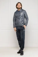 Jacket | Regular Fit EA7 gray
