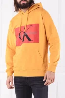 Sweatshirt | Regular Fit CALVIN KLEIN JEANS yellow
