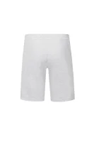 Shorts | Regular Fit EA7 gray