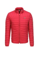 Jacket Lacoste red
