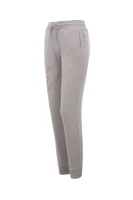 tracksuit trousers EA7 ash gray