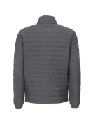 Jacket EA7 gray