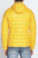 Puchowa kurtka | Regular Fit EA7 yellow