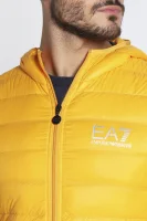 Puchowa kurtka | Regular Fit EA7 żółty