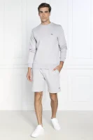 Shorts | Regular Fit Lacoste gray