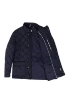 Jacket  Lacoste navy blue