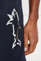 Шорти для плавання | Regular Fit Paul&Shark темно-синій