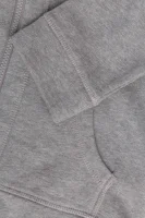 Babos hoodie Napapijri gray