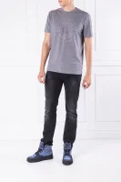 T-shirt | Regular Fit Rossignol gray