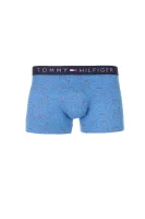 Icon Trunk 2-pack Boxer Briefs  Tommy Hilfiger blue
