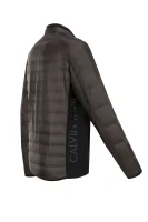 Jacket Olyn Calvin Klein khaki