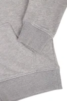Sweatshirt Gant gray