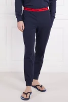 Spodnie od piżamy | Regular Fit Hugo Bodywear granatowy