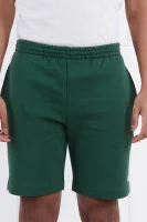 Shorts | Regular Fit Lacoste green