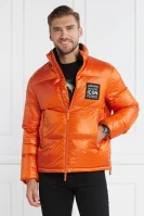 Down jacket | Regular Fit Armani Exchange orange