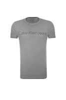 Raven T-shirt CALVIN KLEIN JEANS gray