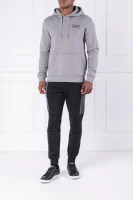 Sweatshirt | Regular Fit EA7 gray
