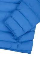 Kurtka Articage | Regular Fit Napapijri niebieski