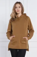 Sweatshirt | Regular Fit Max Mara Leisure brown