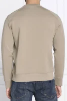 Bluza | Regular Fit Emporio Armani beżowy