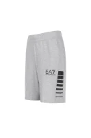 Shorts EA7 ash gray