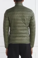 Jacket | Regular Fit EA7 olive green