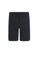 Shorts Headlo | Regular Fit BOSS GREEN navy blue