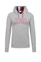 hoodie Tommy Hilfiger ash gray