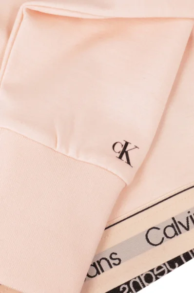 Sweatshirt | Cropped Fit CALVIN KLEIN JEANS powder pink