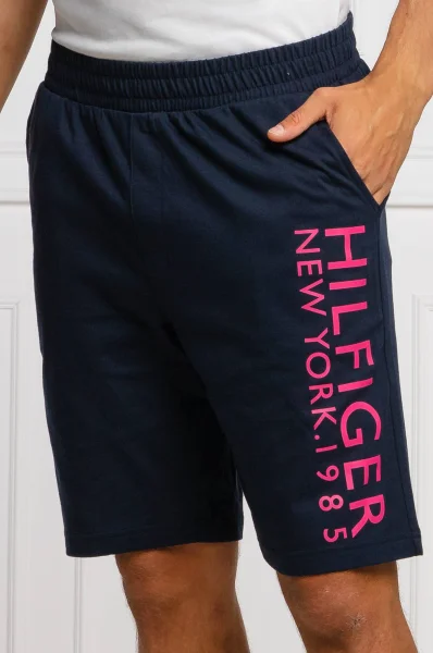 Shorts | Regular Fit Tommy Hilfiger navy blue